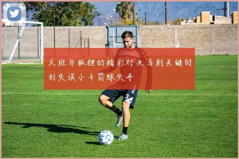 文班与狐狸的精彩对决马刺关键时刻失误小卡罚球失手