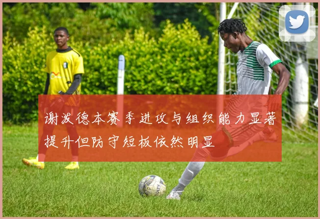 谢泼德本赛季进攻与组织能力显著提升但防守短板依然明显